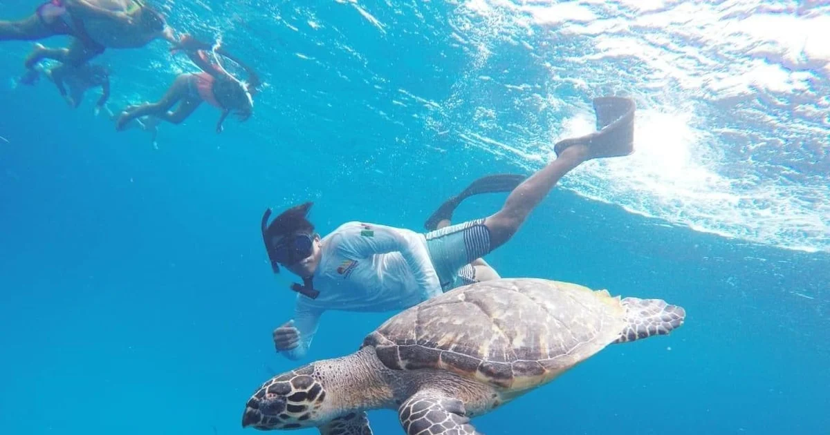 Snorkeling boat tour at a Caribbean cruise port